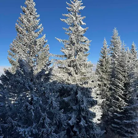 Appartement Vilajahor Natasa A11