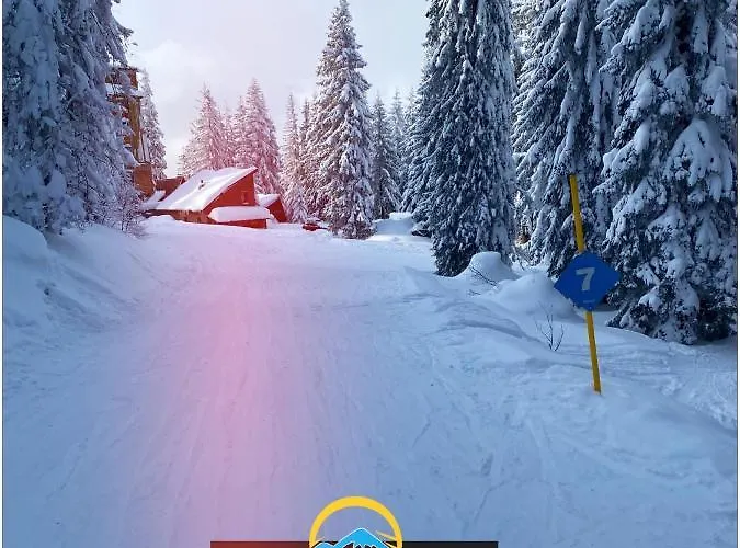 Vilajahor Natasa A11 *