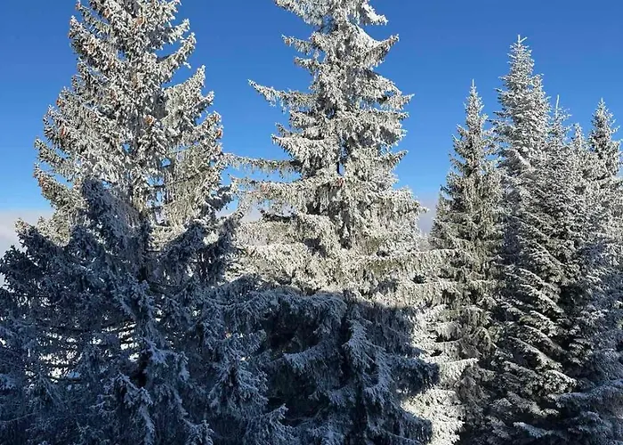 公寓 Vilajahor Natasa A11